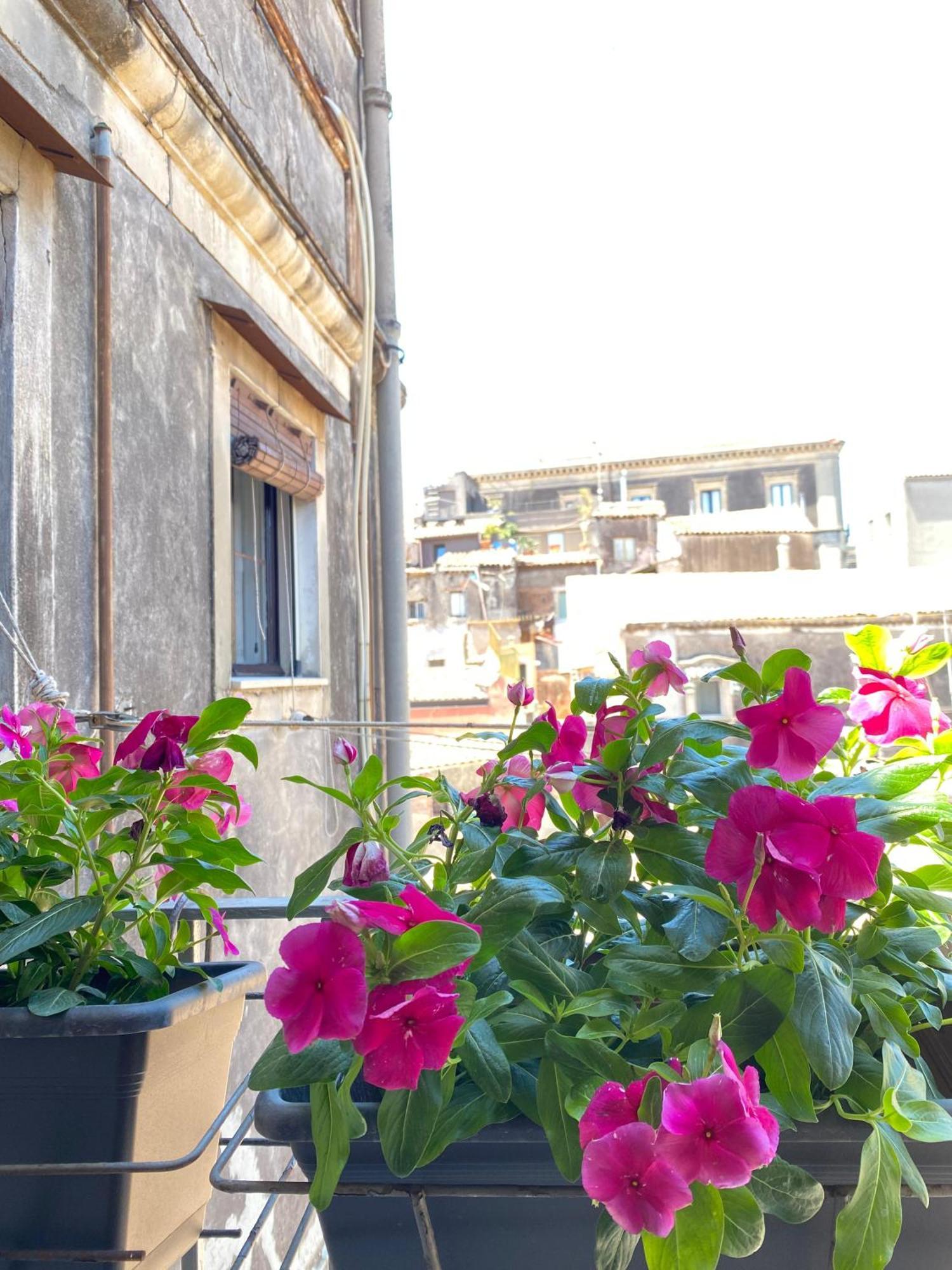 Dimora Dei Minoriti Bed & Breakfast Catania Luaran gambar